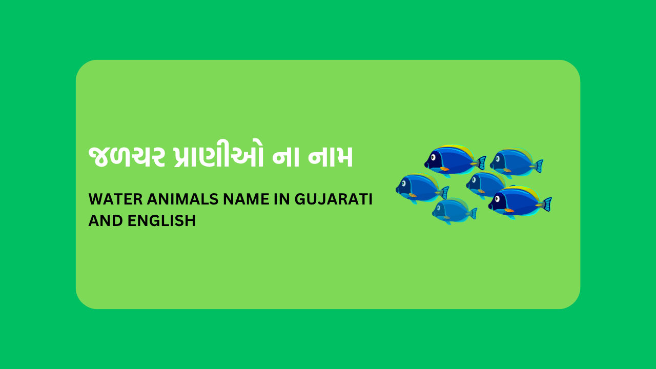 Water Animals Name In Gujarati