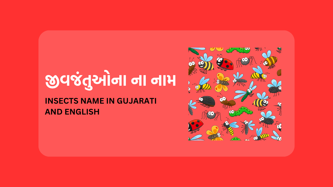 Insects Name In Gujarati