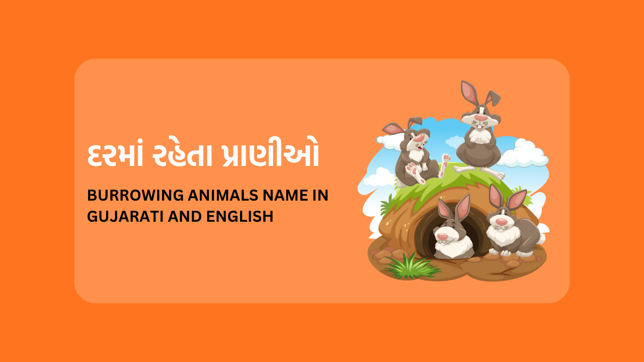 Burrowing Animals Name in Gujarati