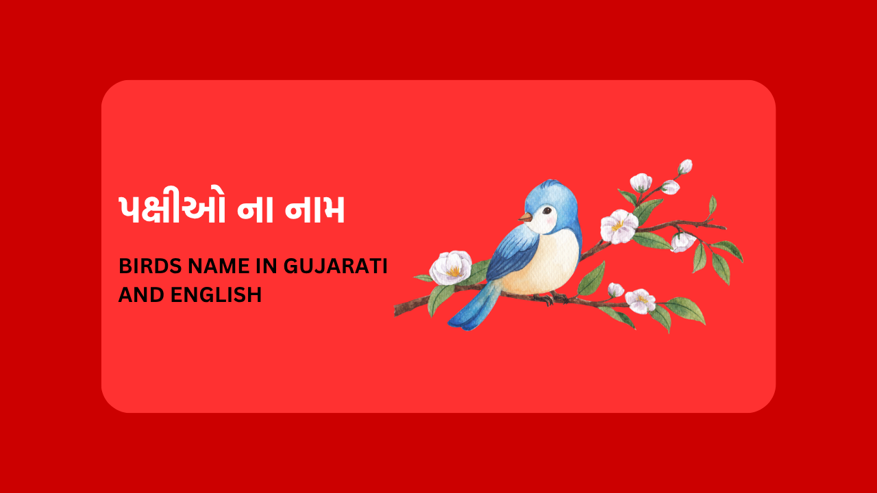 Birds Name in Gujarati