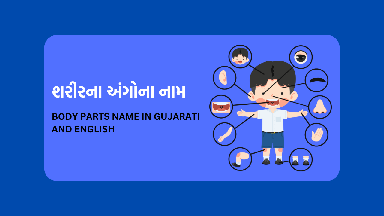 Body Parts Name In Gujarati