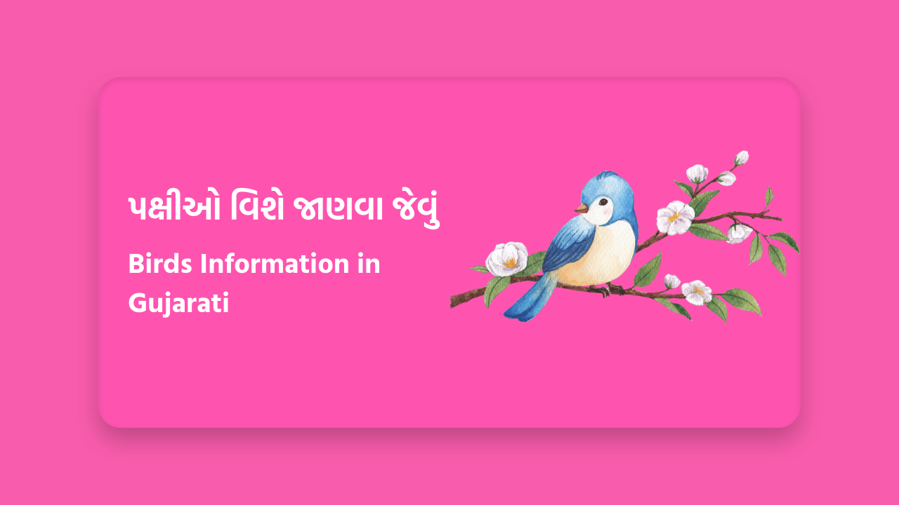 પક્ષીઓ વિશે જાણવા જેવું